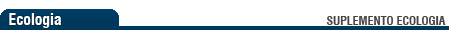Barilochense.com - Suplementos