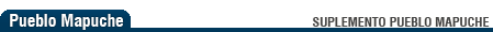 Barilochense.com - Suplementos