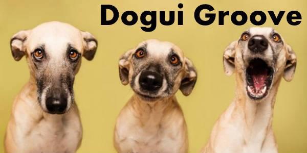 "Dogui Groove" &iexcl;en patanuk!