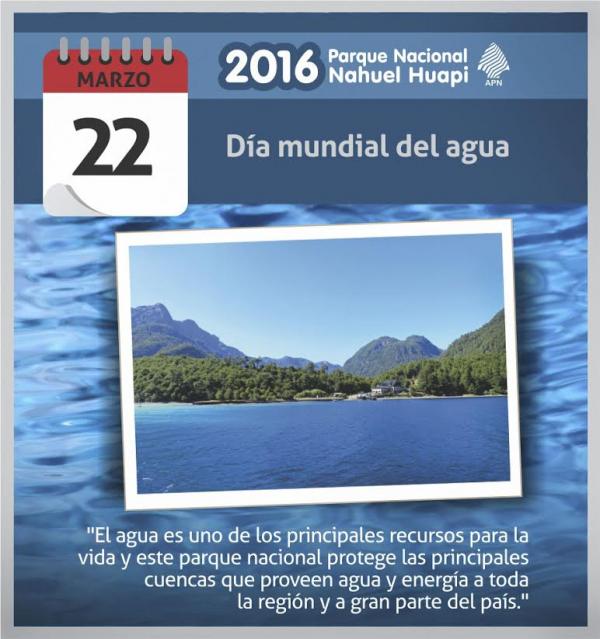 Hoy se festeja el D&iacute;a Internacional del Agua