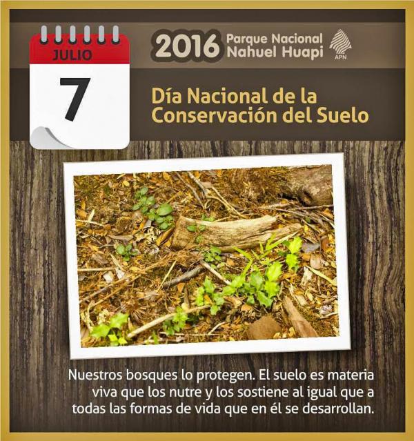 7 de julio: D&iacute;a nacional de la conservaci&oacute;n del suelo