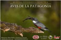 Exposici&oacute;n Aves de la Patagonia 