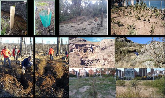 Seminario Ecotono &#147;Experiencias de revegetaci&oacute;n y restauraci&oacute;n ecol&oacute;gica en bosques degradados de Argentina&#148;
