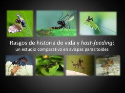 Seminario Ecotono: Estudio comparativo en avispas parasitoides  Viernes 9  14:30