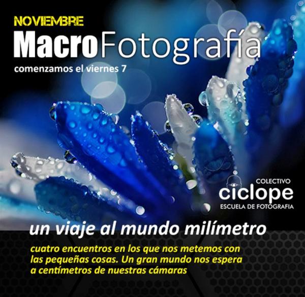 CURSO DE MACROFOTOGRAFIA