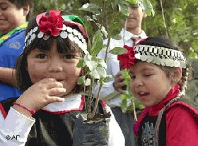 Querella contra carabineros por interrogatorio a ni&ntilde;os Mapuche