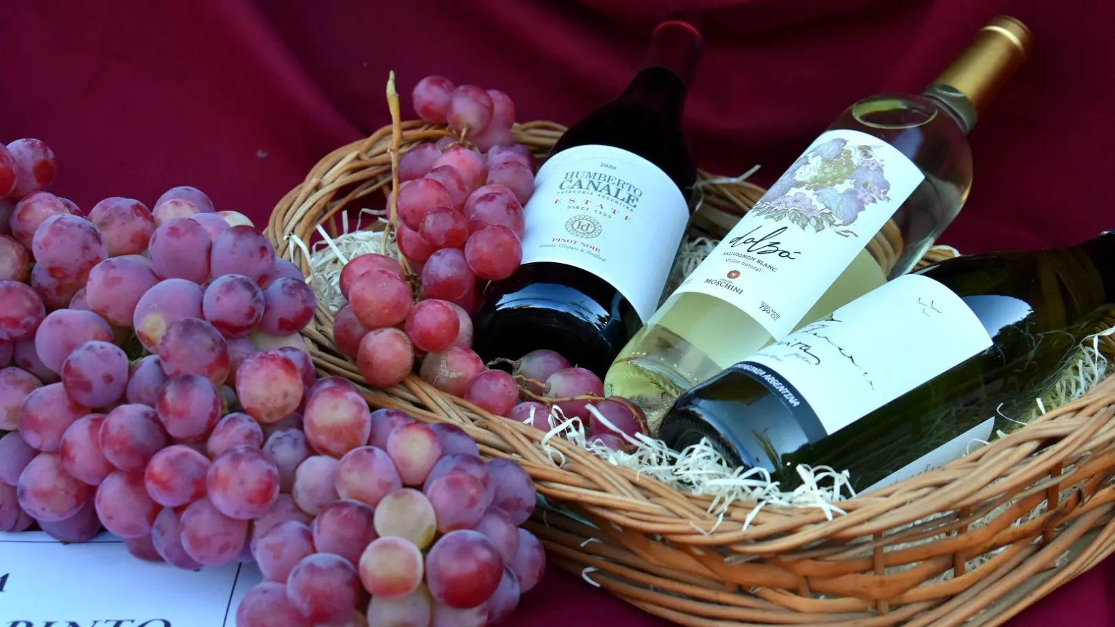 Villa Regina celebra a la producci&oacute;n vitivin&iacute;cola
