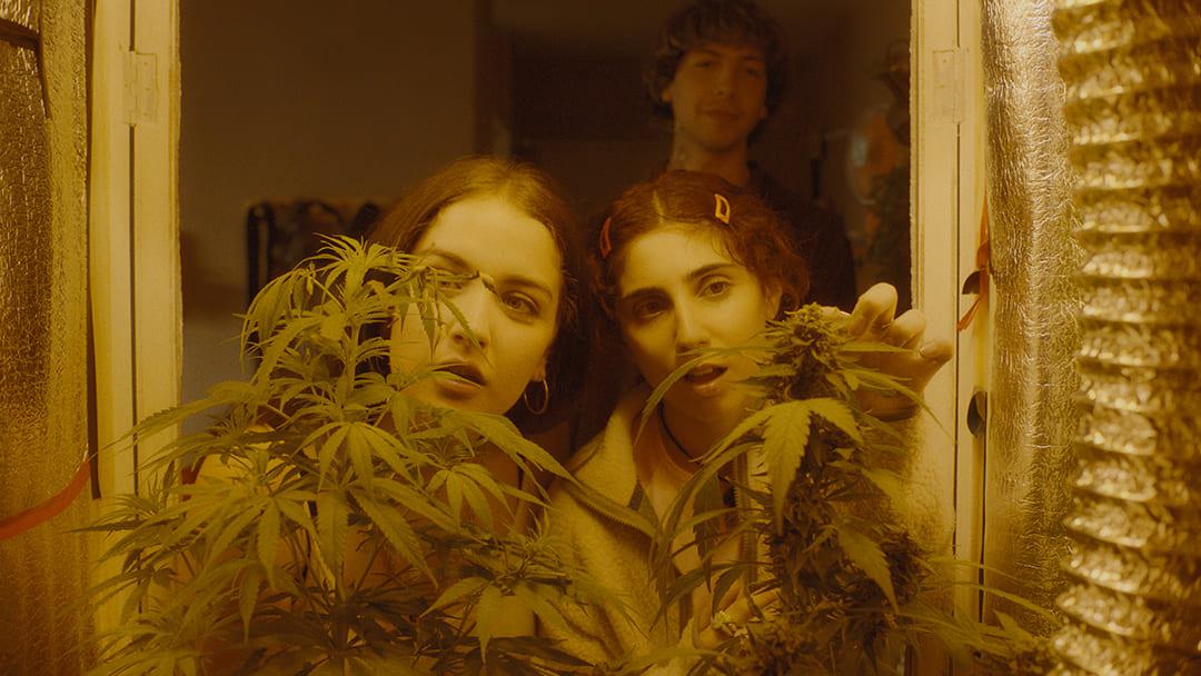FAB 2025 Muestra: DIA-EXT-BARILOCHE: &#147;Verano Trippin&#148; de Verano Trippin (86&#8242;)