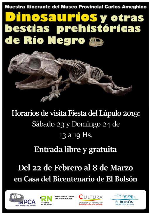 Evento hasta el 8 de Marzo en El Bols&oacute;n