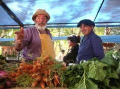 Inaugura el s&aacute;bado la Feria de Horticultores