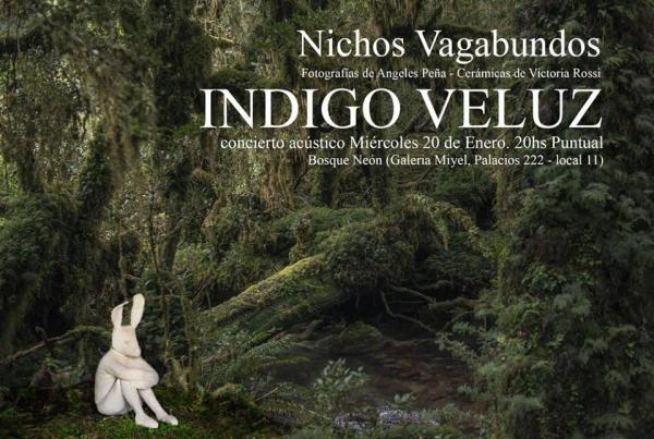 En el cierre del Prisma,  Indigo Ve Luz en Bosque Ne&oacute;n