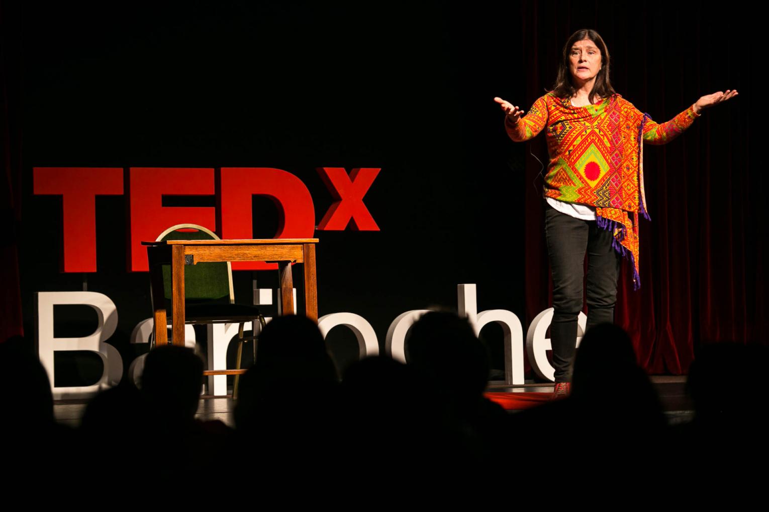 TEDxBariloche vuelve  con m&aacute;s espacio para la nieve de ideas