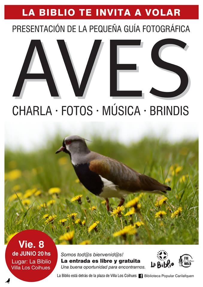 Presentaci&oacute;n GU&Iacute;A de AVES en la Biblioteca Popular Carilafquen