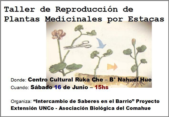 Taller de reproducci&oacute;n de plantas medicinales en Nahuel Hue