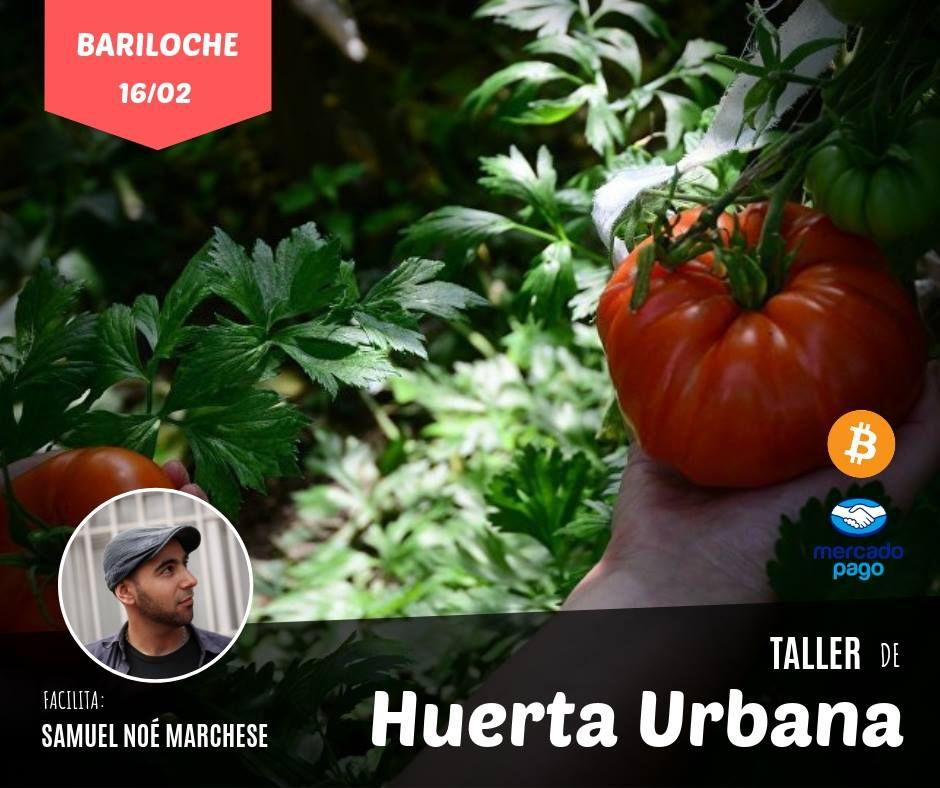 Taller de huerta urbana