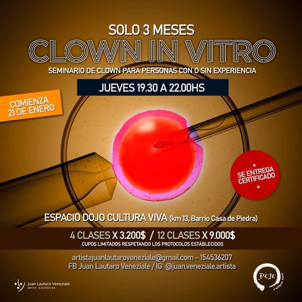 CLOWN IN VITRO I: Seminario Presencial de Clown en Bariloche de tres meses