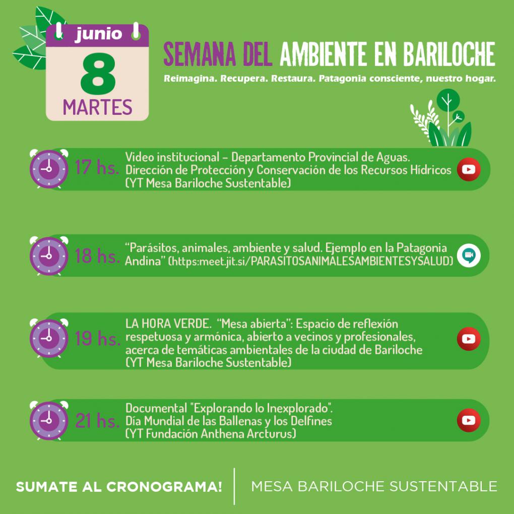 Actividades Semana del Ambiente