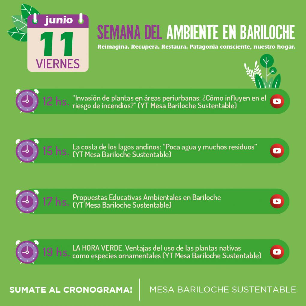 Actividades Semana del Ambiente