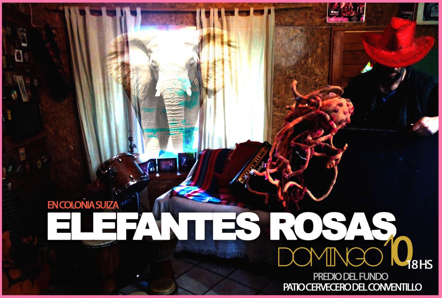 Elefantes rosas