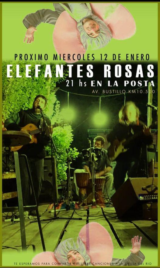 Elefantes Rosas