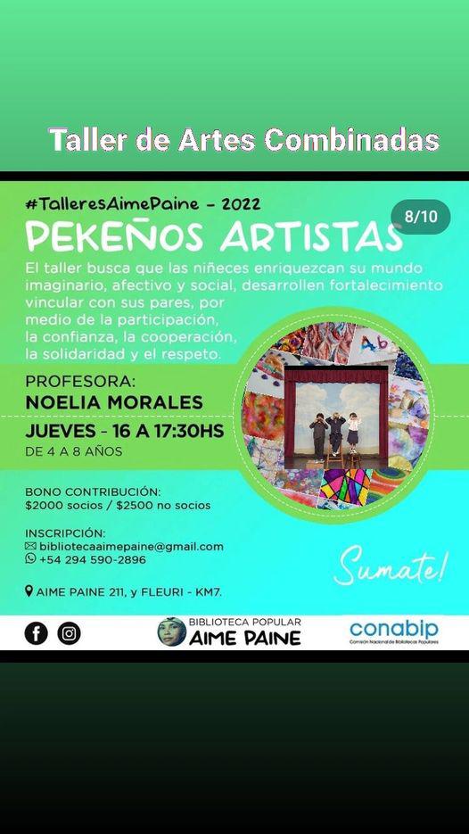 Taller de Artes Combinadas "Peke&ntilde;os Artistas"