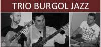 Trio Burgol continua el Ciclo de Jazz en Plaza Patagonia