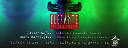 ELEFANTE - m&uacute;sica despojada