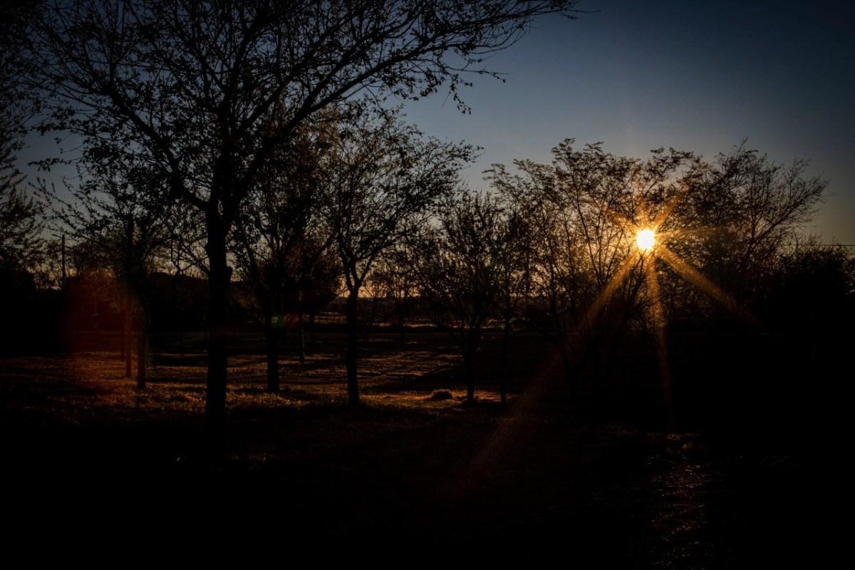 Ambiente y medio. El desaf&iacute;o de un modelo de desarrollo inclusivo con cuidado de nuestro ambiente