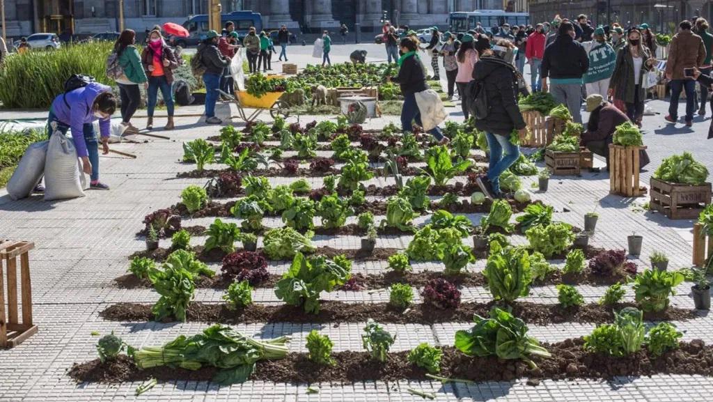 &laquo;Es necesario discutir la ruralidad y el campo en la Argentina&raquo;