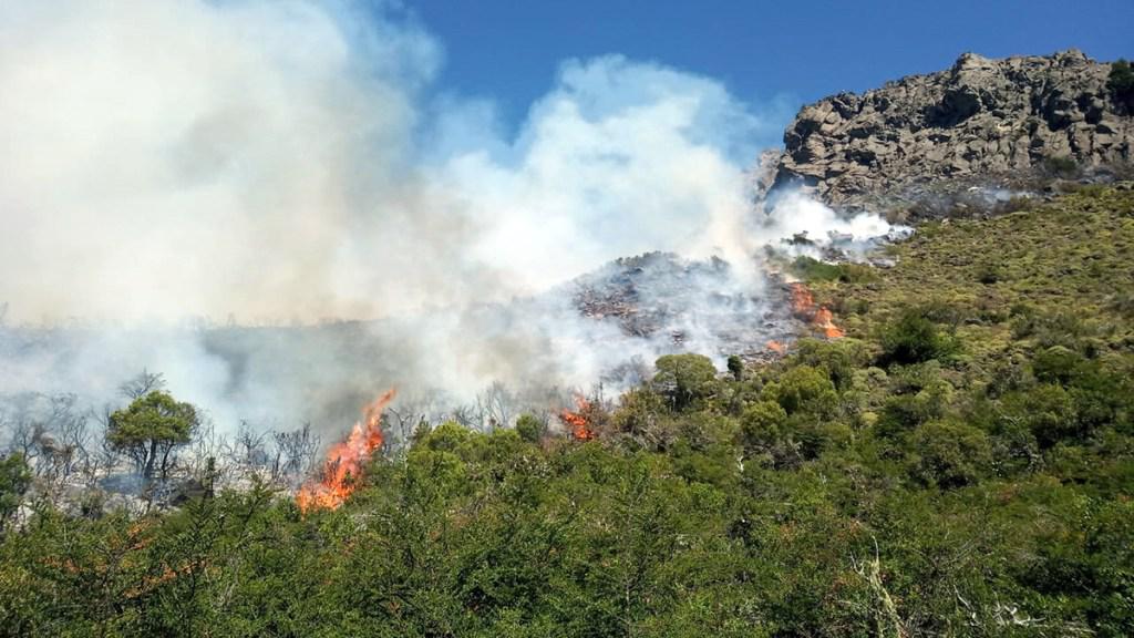 Se organiza la solidaridad en torno al incendio de El Bols&oacute;n