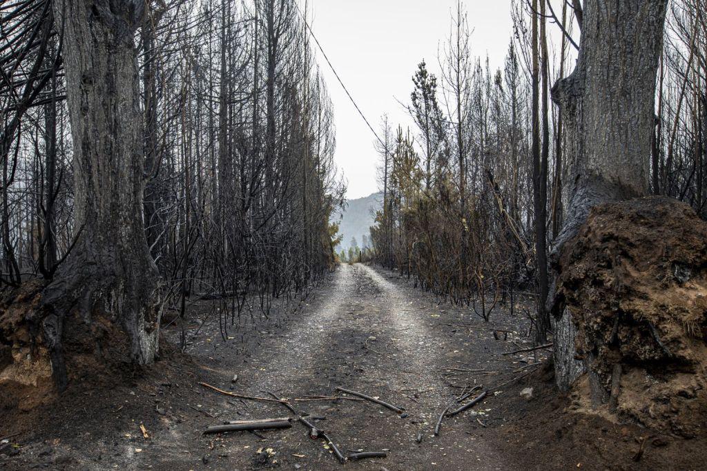 Ecos del incendio: &iquest;qu&eacute; modelo de desarrollo queremos?