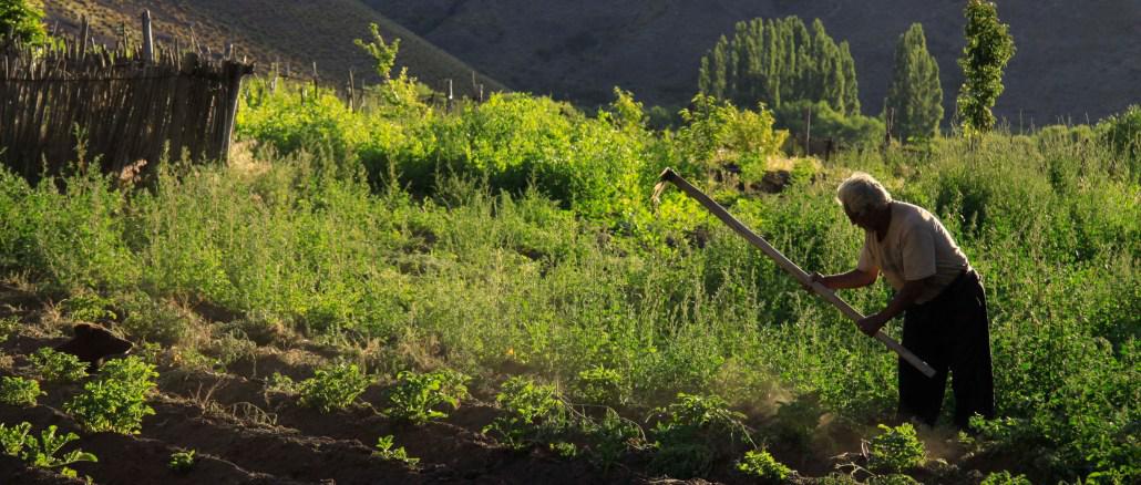 Alimentos cooperativos, org&aacute;nicos y patag&oacute;nicos