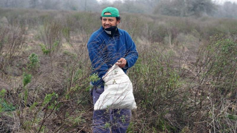 Reparaci&oacute;n hist&oacute;rica de la agricultura familiar: una Ley para la construcci&oacute;n de una Nueva Ruralidad