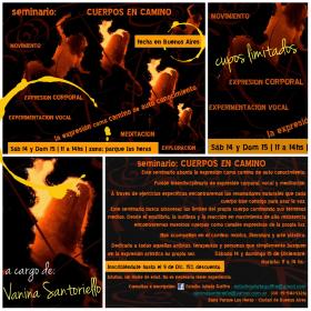 seminario CUERPOS EN CAMINO - Fecha en Bs As -