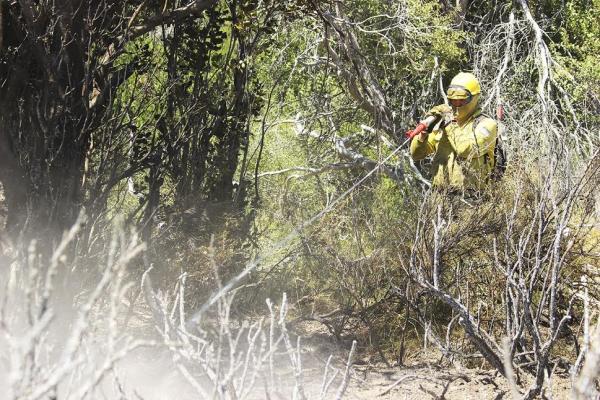 Contin&uacute;a el combate contra los incendios forestales