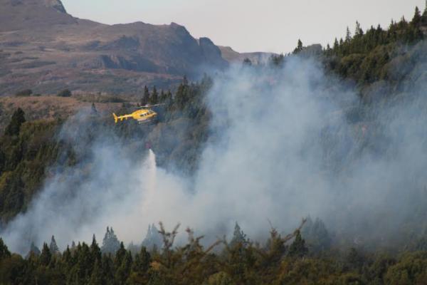 Incendios en el Parque Nacional Los Alerces