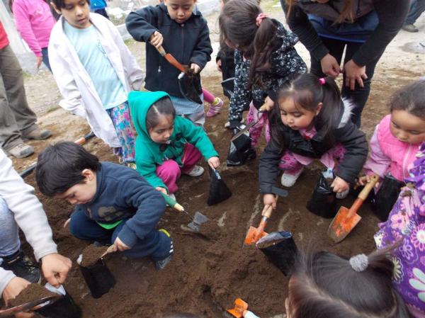 "Un &aacute;rbol para mi Barrio" M&aacute;s de 100 ni&ntilde;os trasplantaron unos 300 arbolitos aut&oacute;ctonos en un barrio de Bariloche