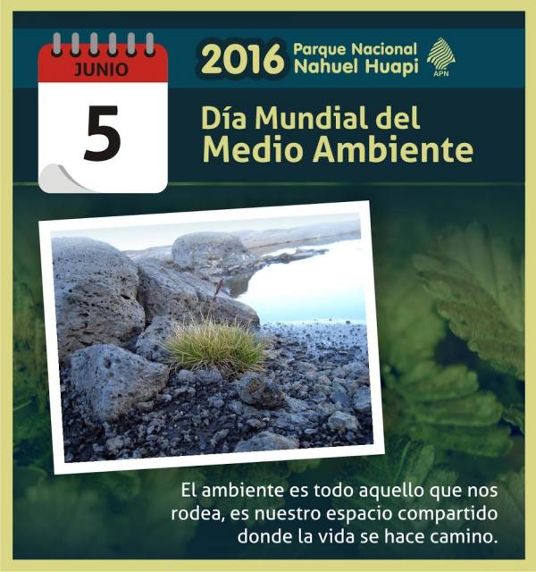 5 de junio: D&iacute;a Mundial del Medio Ambiente