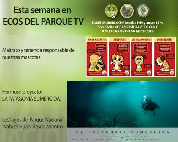 Esta semana en Ecos del Parque TV: LA PATAGONIA SUMERGIDA