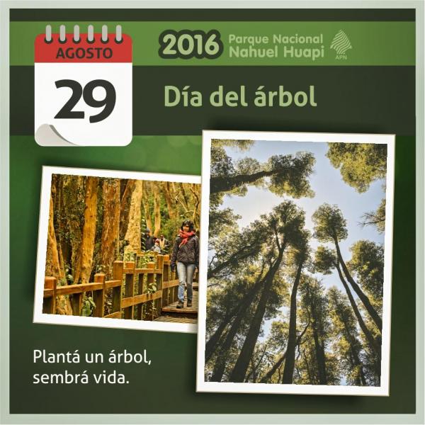 29 de Agosto - D&iacute;a del &Aacute;rbol