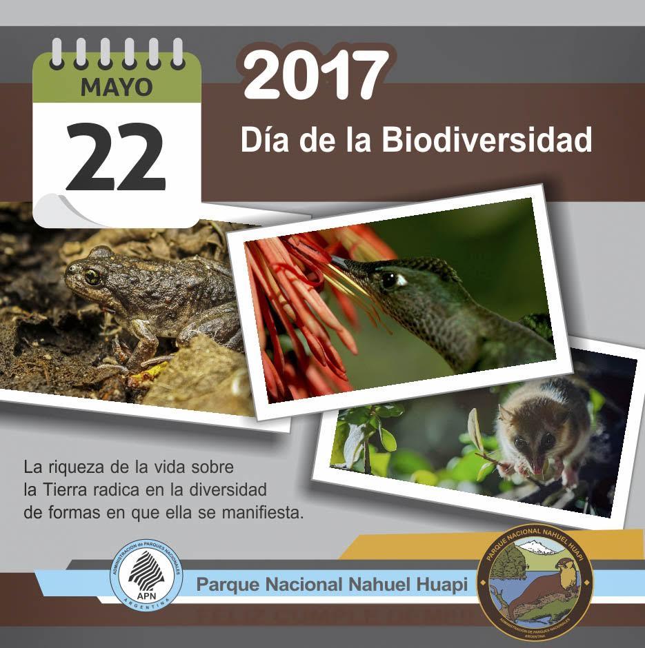 22 de mayo: D&iacute;a Internacional de la Biodiversidad