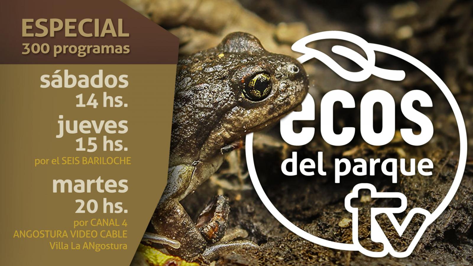 300 programas de Ecos del Parque TV  