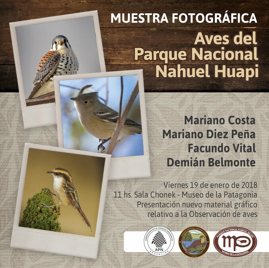 MUESTRA FOTOGRAFICA "AVES DEL PARQUE NACIONAL NAHUEL HUAPI"