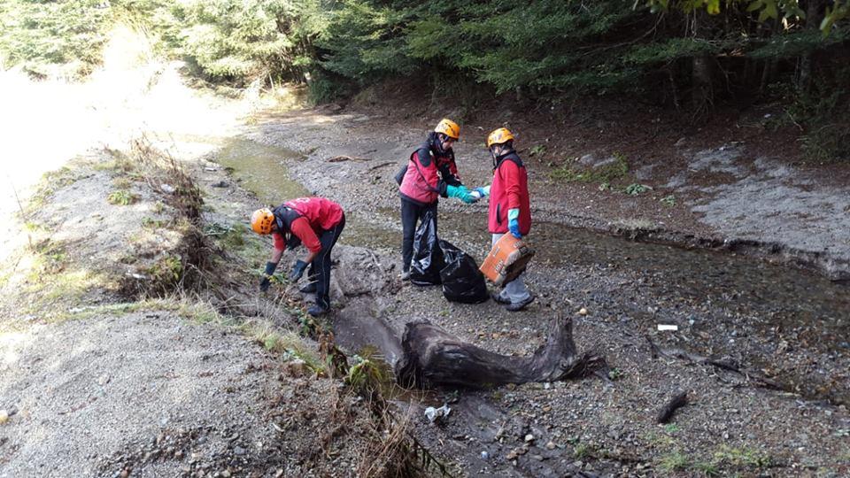 Operativo conjunto de limpieza en la Ruta Nacional 231