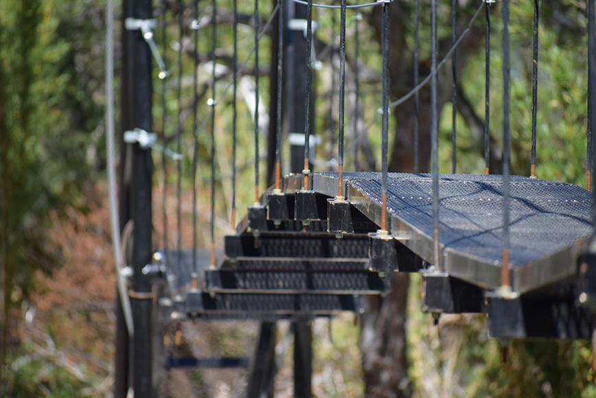 Nuevos puentes colgantes en el Parque Nacional