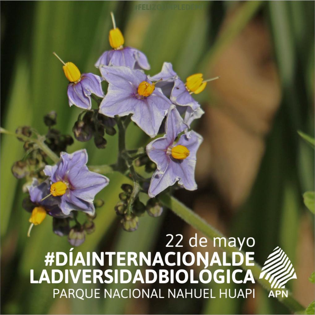 22 de mayo D&iacute;a Internacional de la Diversidad Biol&oacute;gica