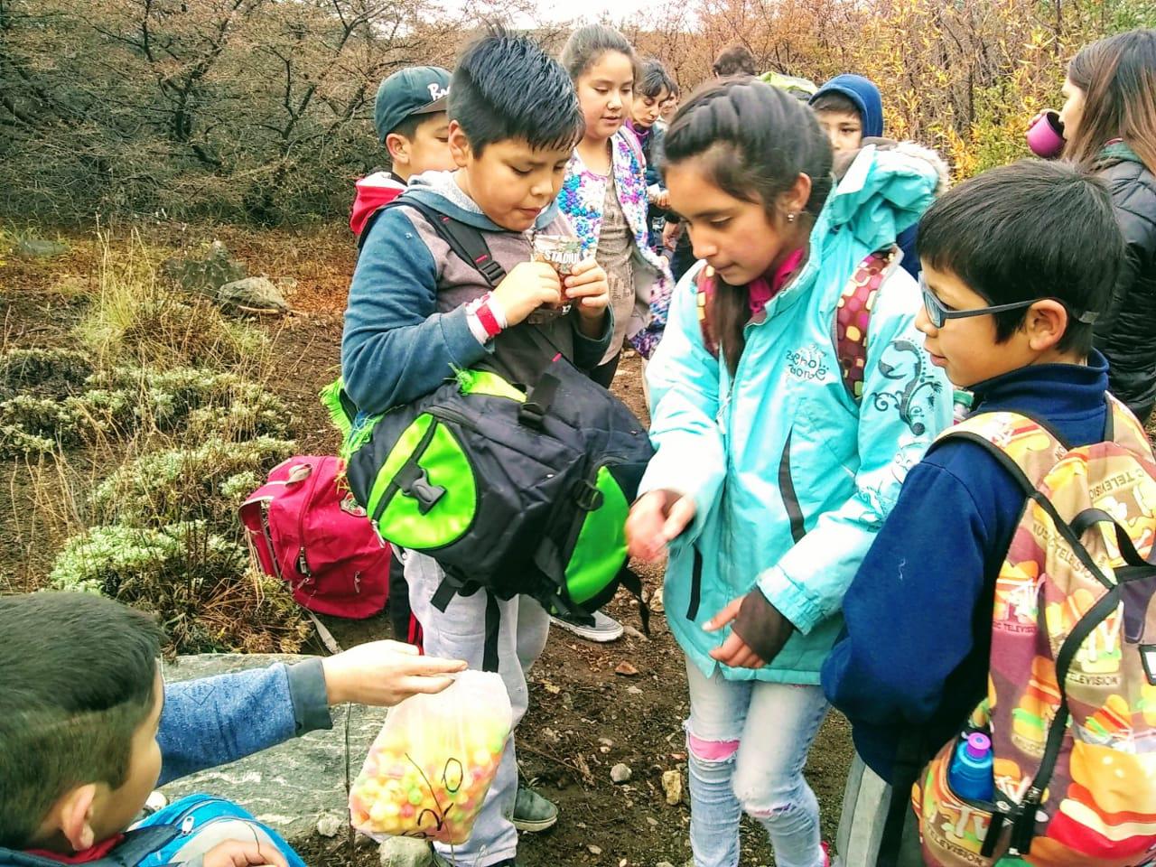 Proyecto educativo entre del Departamento ICE y la Escuela N&ordm; 315