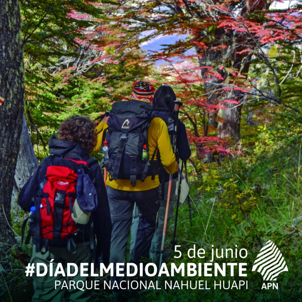 5 de junio: D&iacute;a mundial del medio ambiente