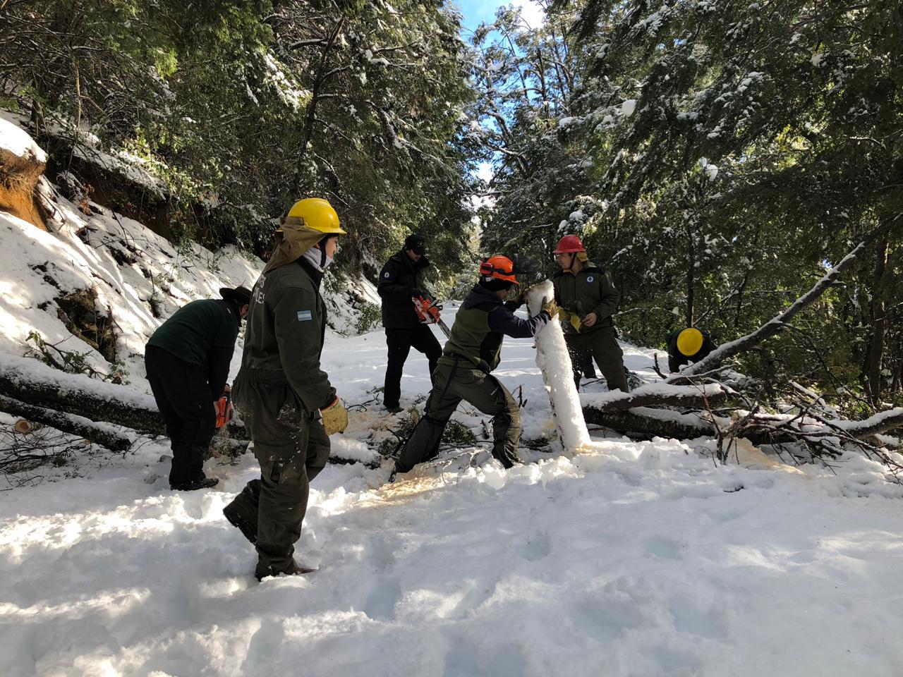 Actualizaci&oacute;n del estado de caminos y excursiones lacustres en el Parque Nacional Nahuel Huapi