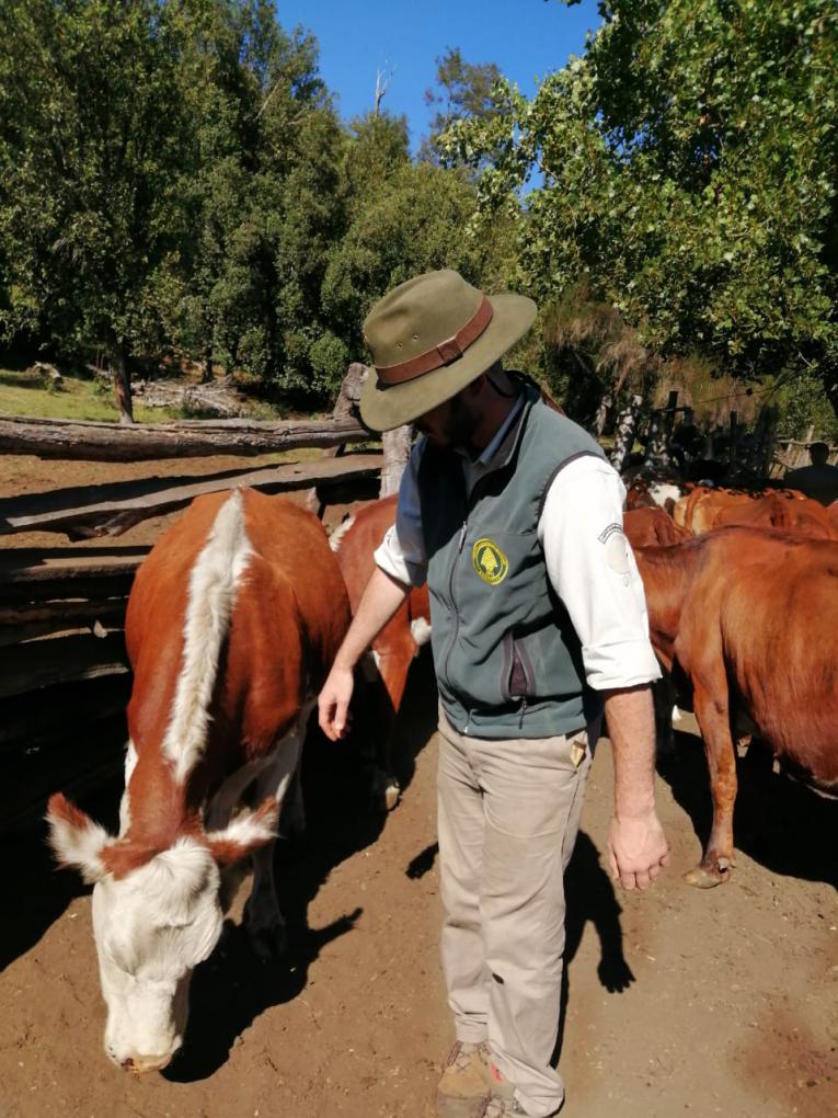 Trabajo con pobladores del Parque Nacional Nahuel Huapi. El manejo ganadero como principal herramienta para la conservaci&oacute;n de la biodiversidad